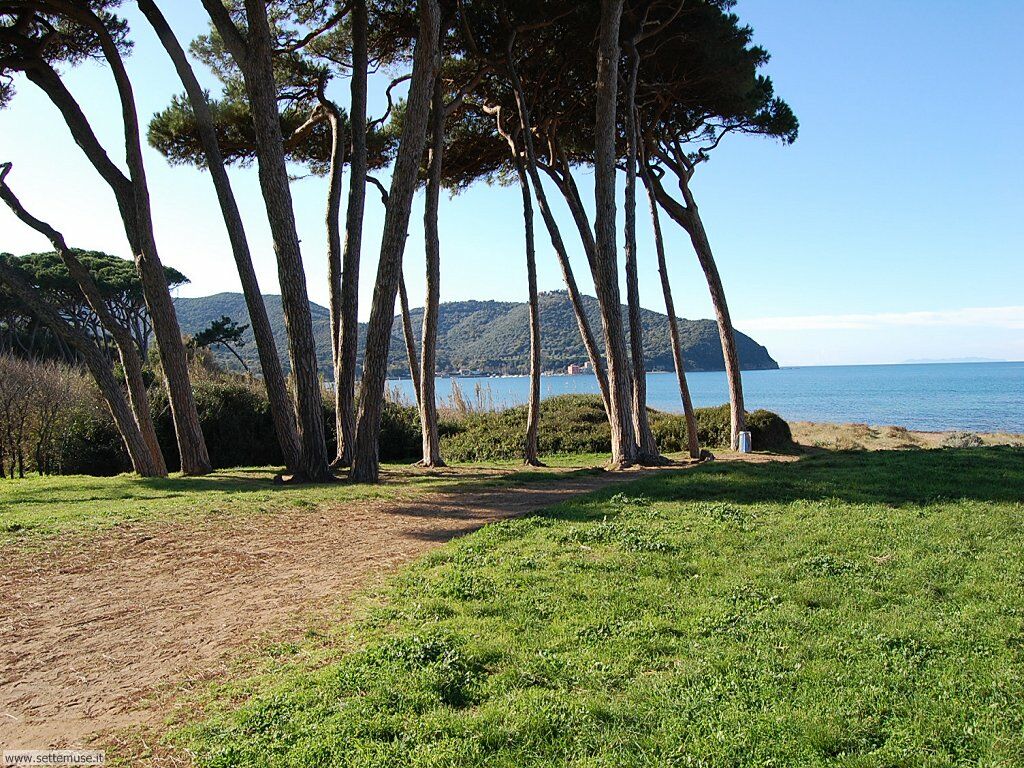 Baratti e Populonia