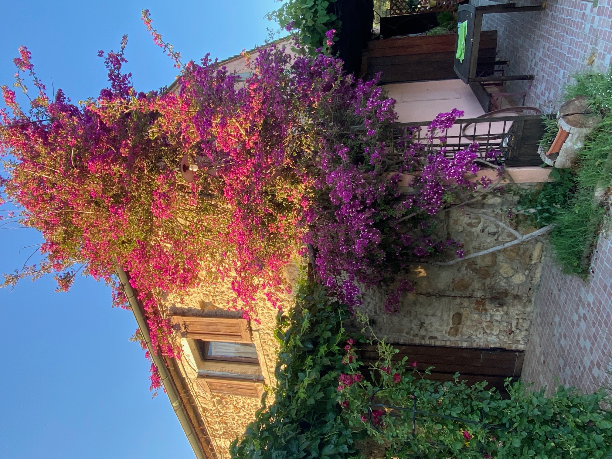 Podere Girasoli