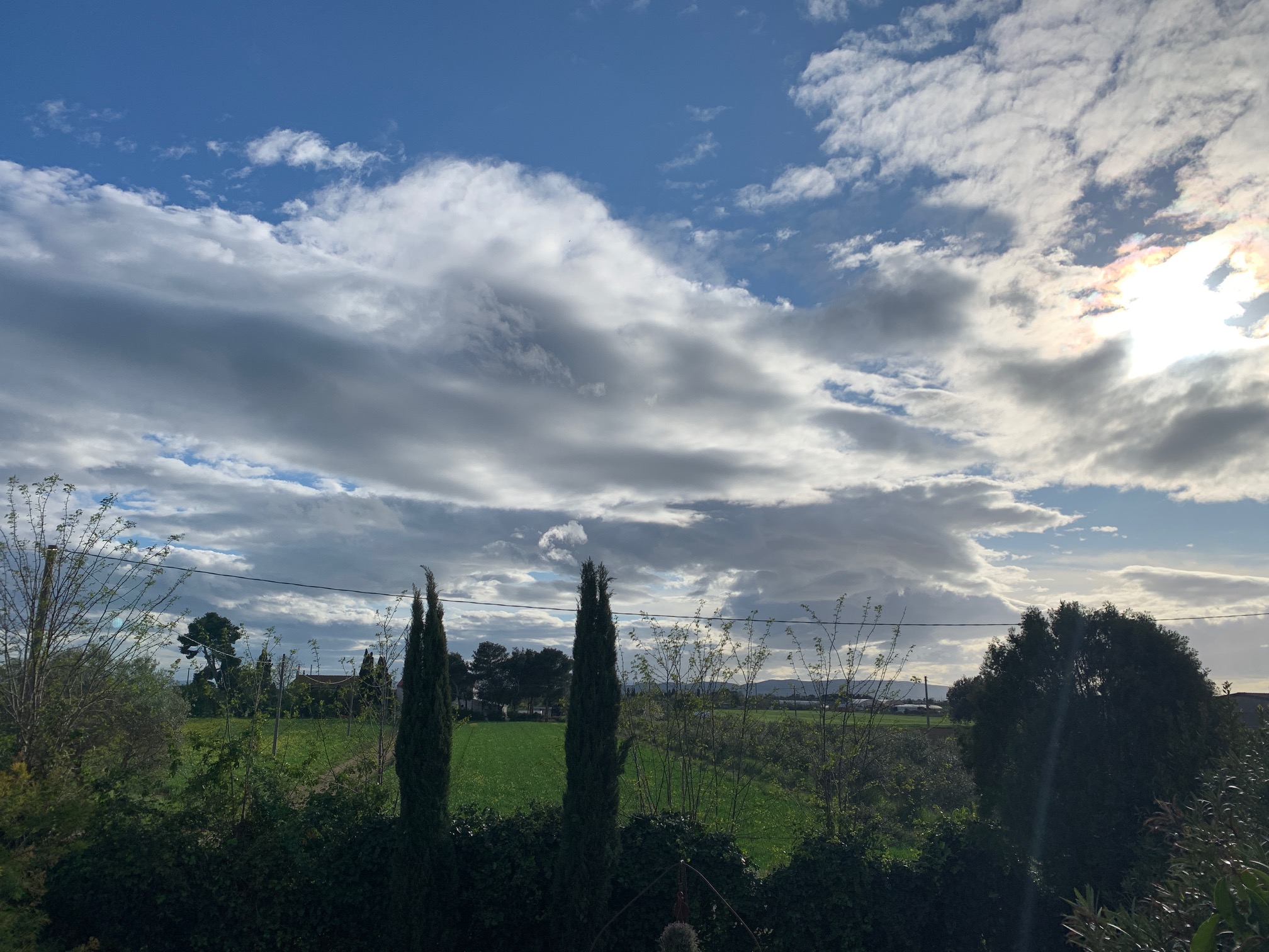 Podere Girasoli