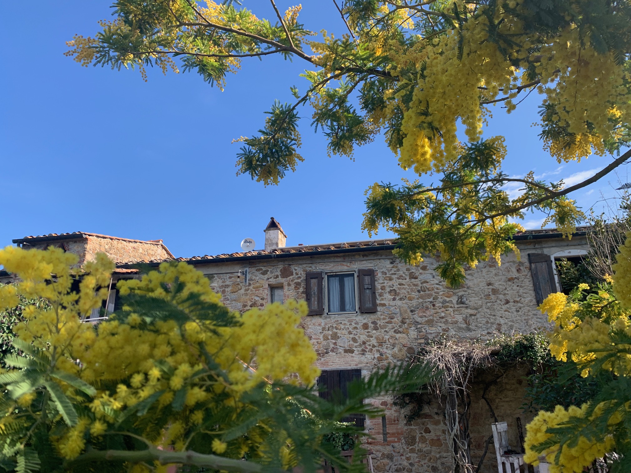 Podere Girasoli