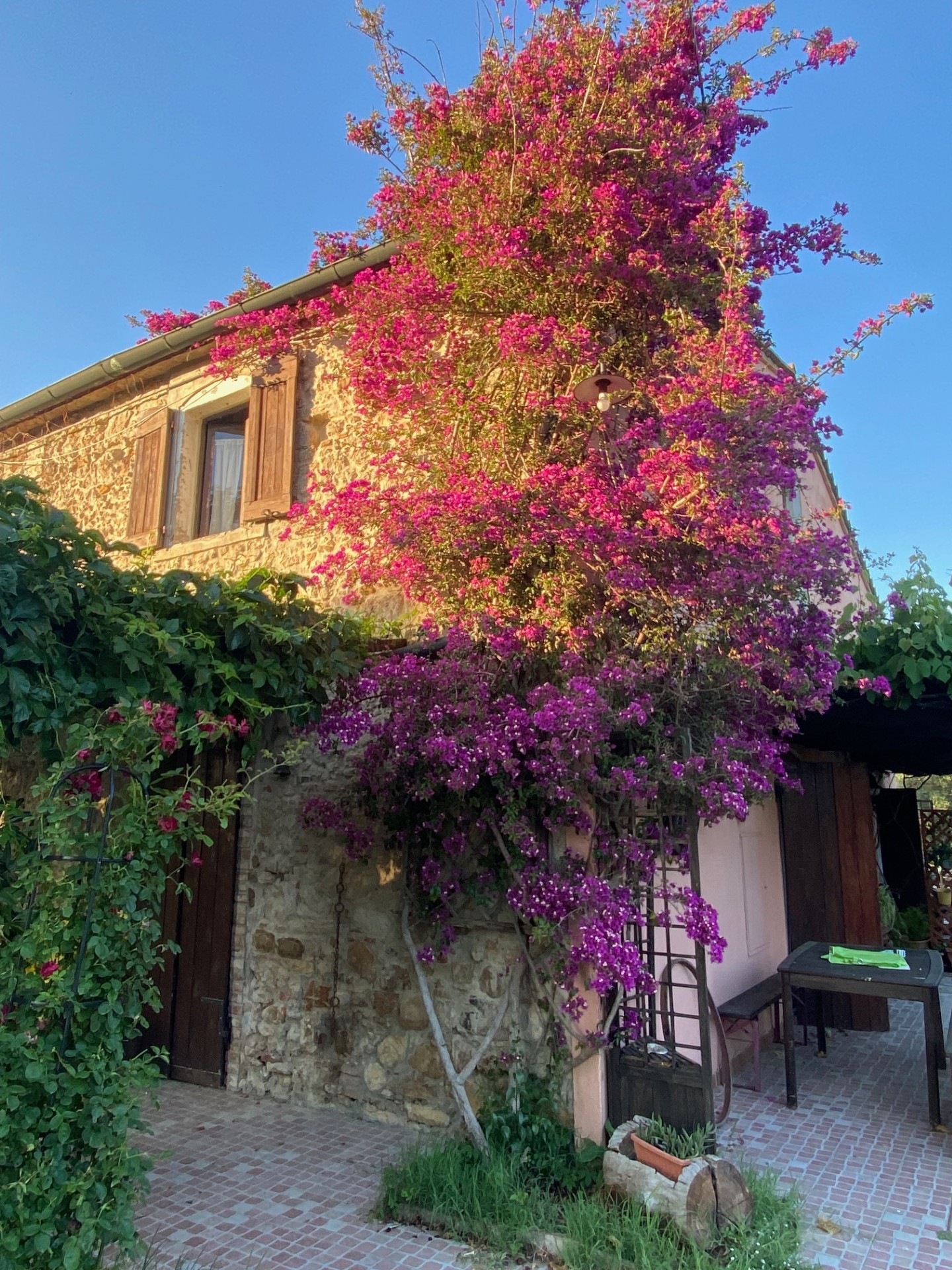 Podere Girasoli